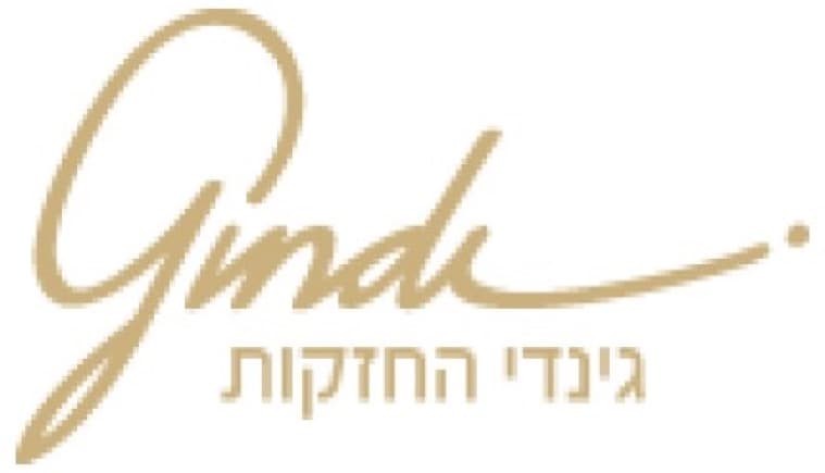 לוגו גינדי