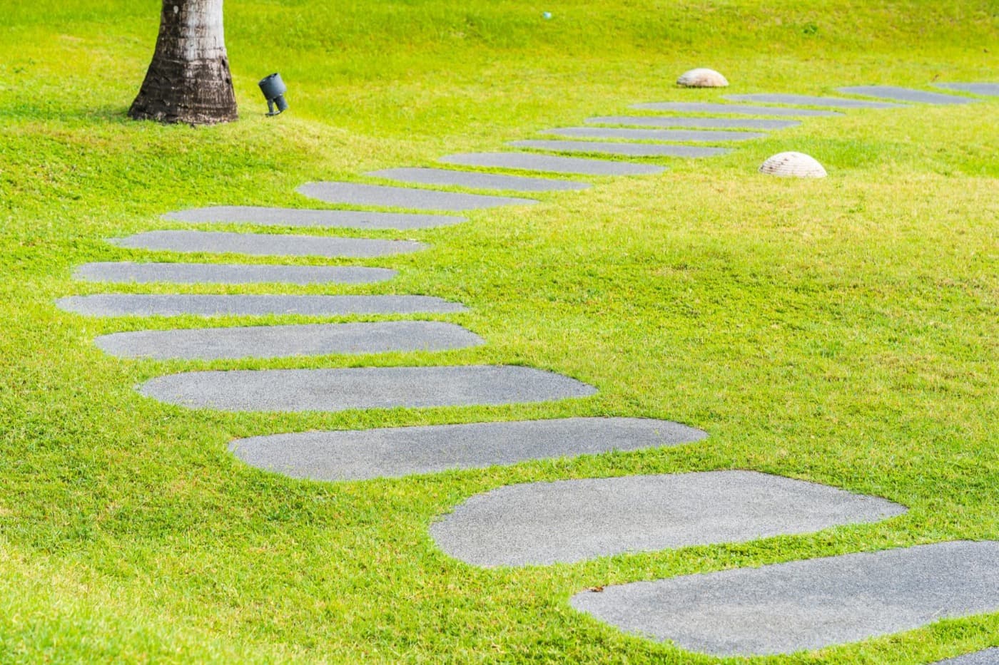 6 tips for efficient landscaping and a well-kept garden