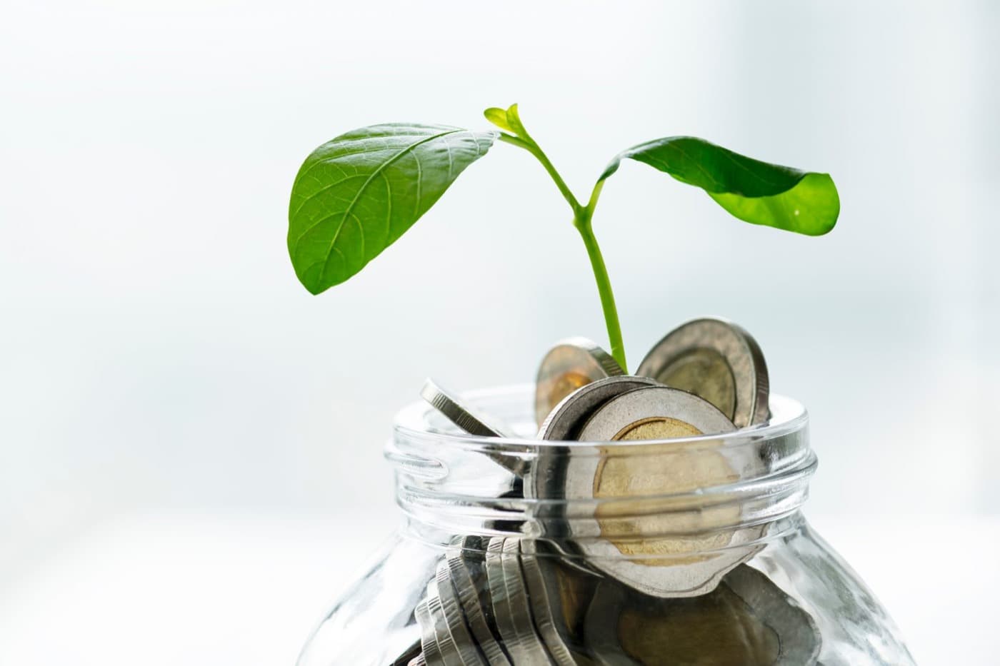IT'S ALL ABOUT THE MONEY: כך בונים תקציב חכם למתחם מסחרי